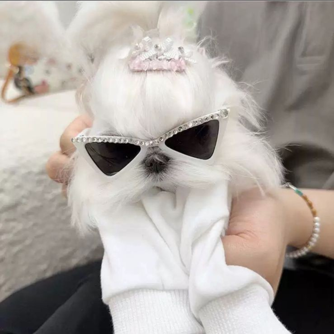 Óculos Triangular com Strass