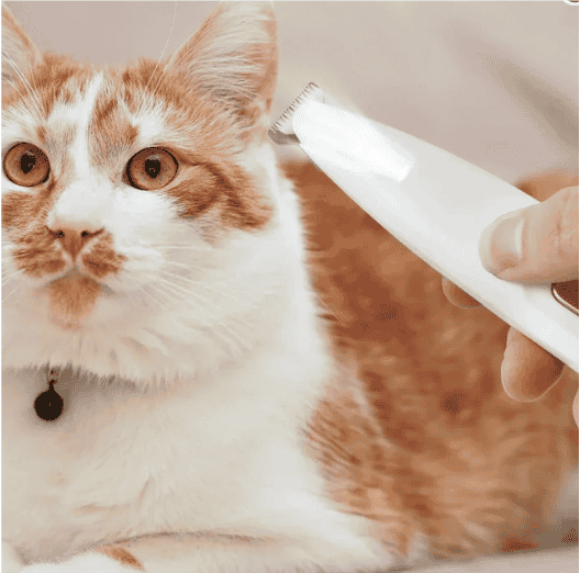 Aparador De Pelos Pet