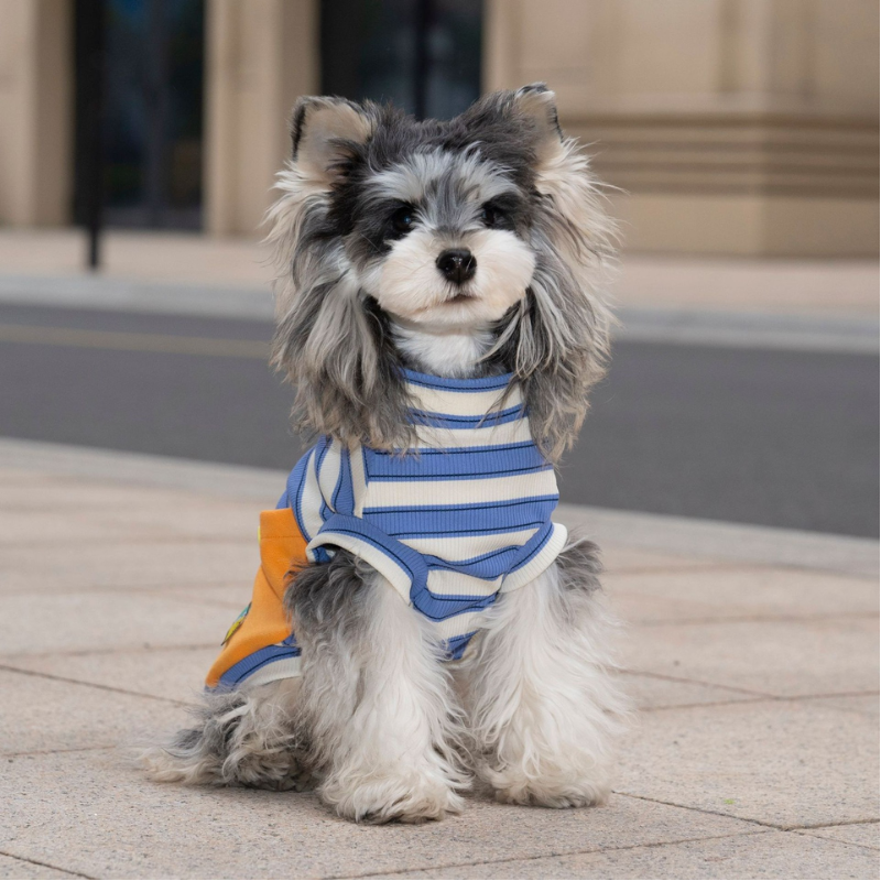 Camiseta Pet Listrada com Bolso e Argola