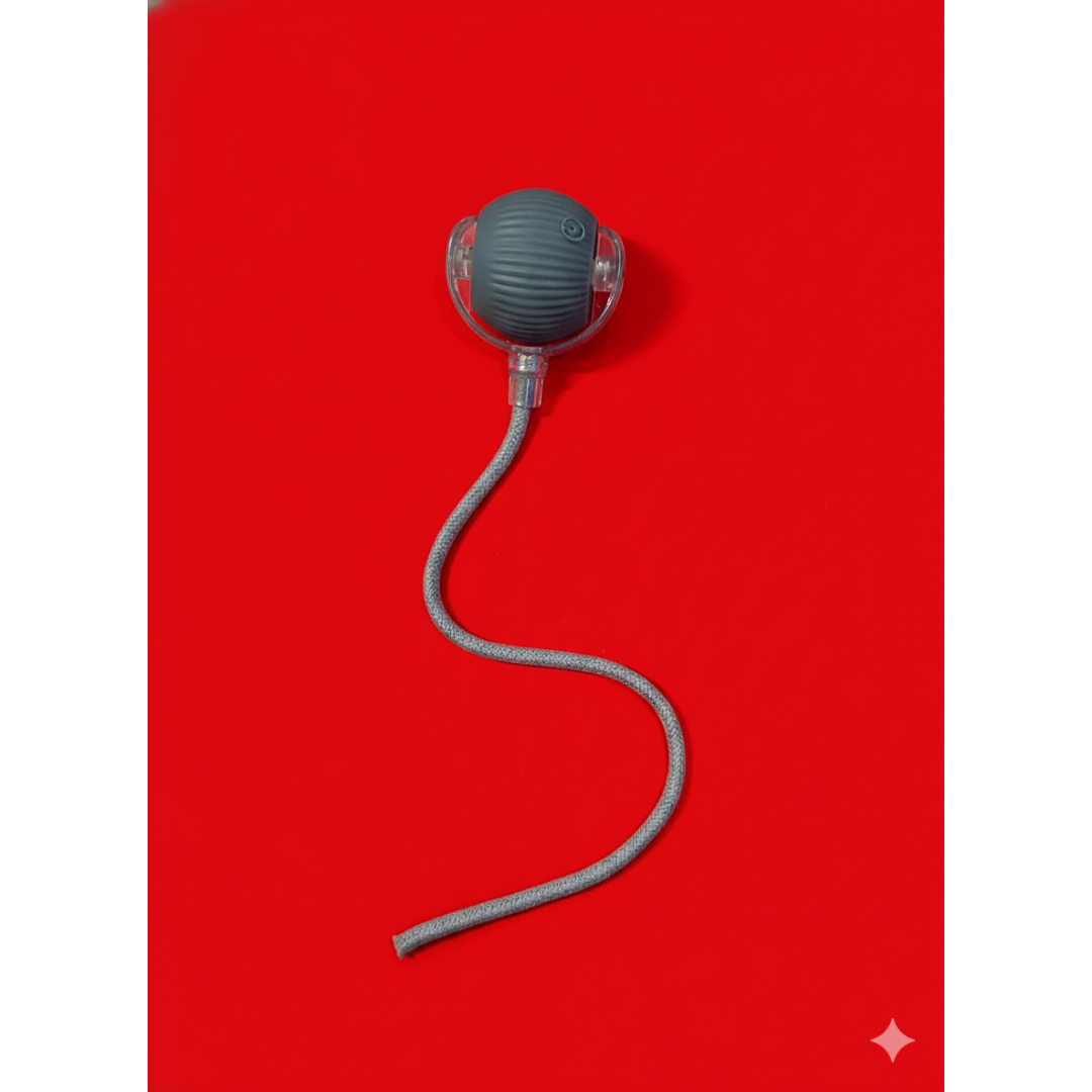 Bola Interativa Giratória