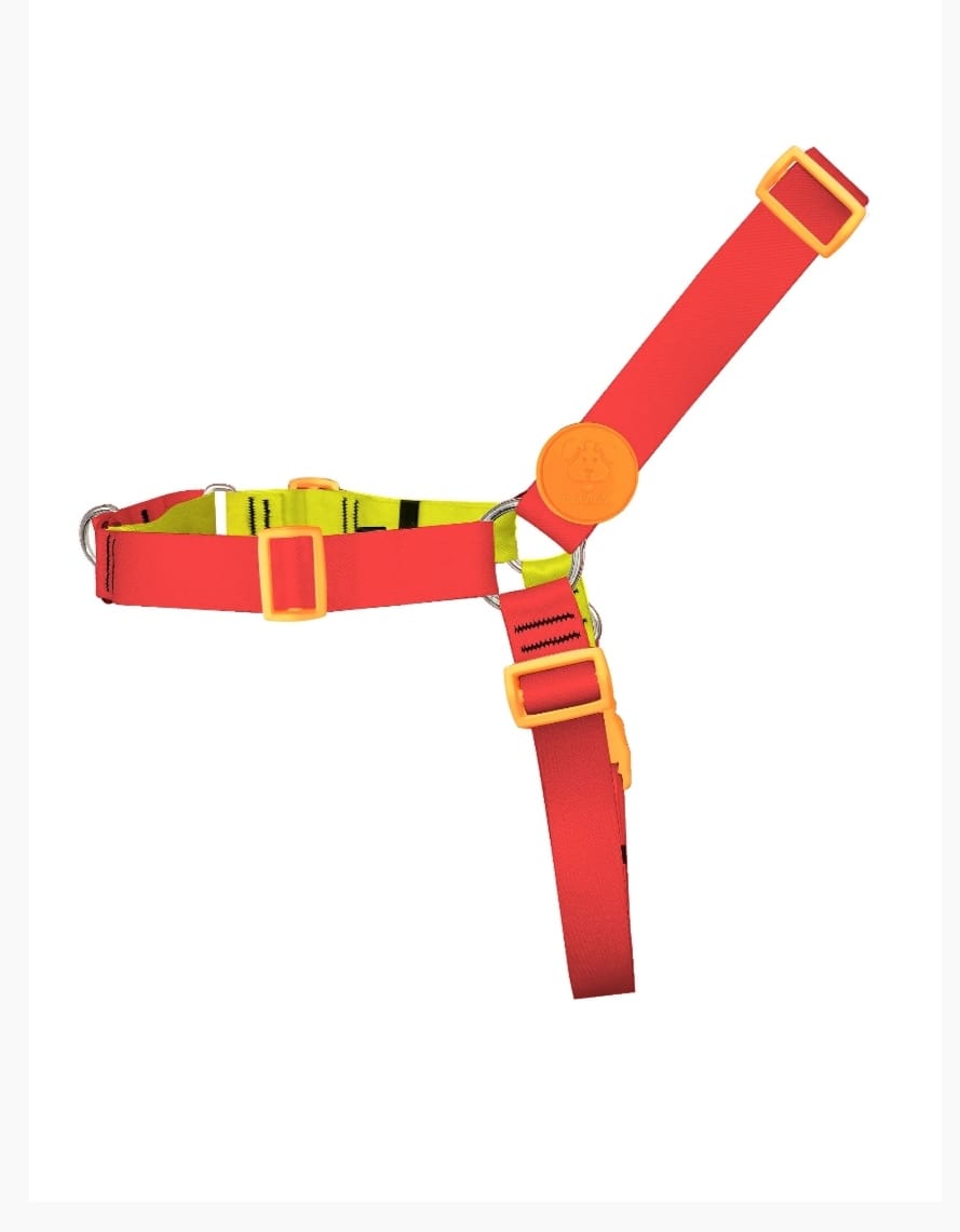 Peitoral Antipuxão Com Guia - M