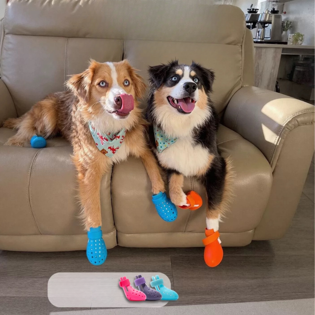 Tenis Tipo Crocs Pet