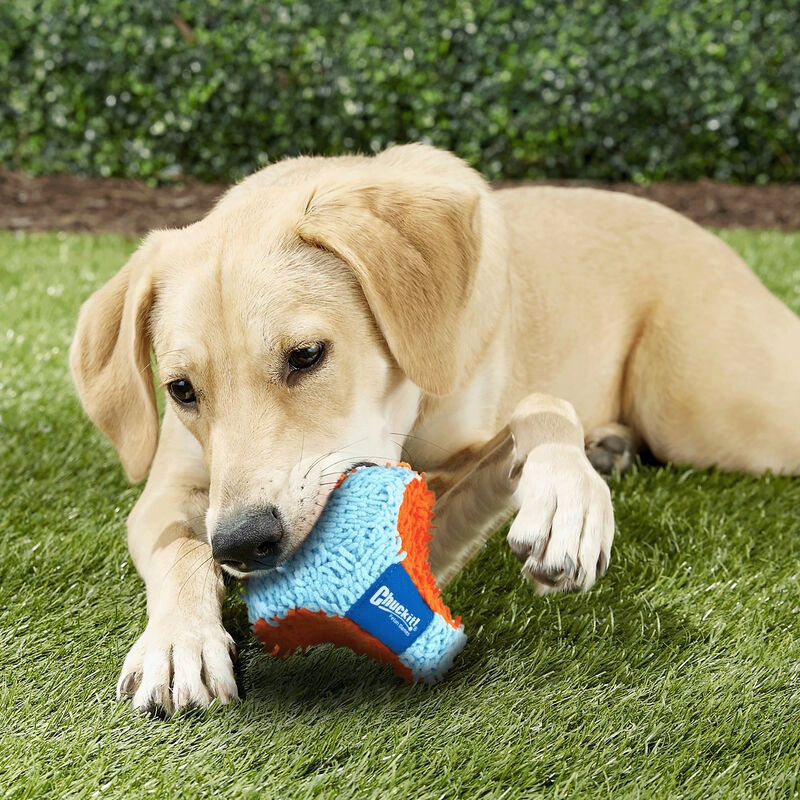 BOLA INDOOR TUMBLER CHUCKIT