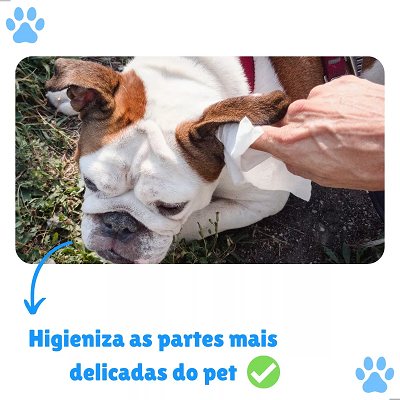 Lenço Umedecido Femea 75 UND