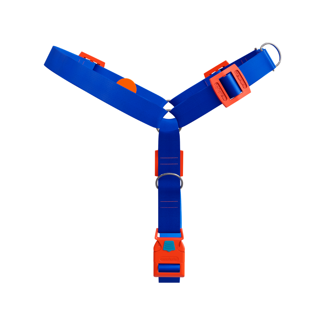 KIT ANTIPUXAO - NEW BLUE - G