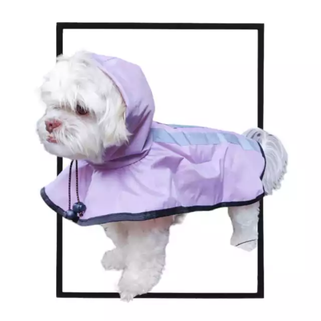 Capa De Chuva Lilas - G