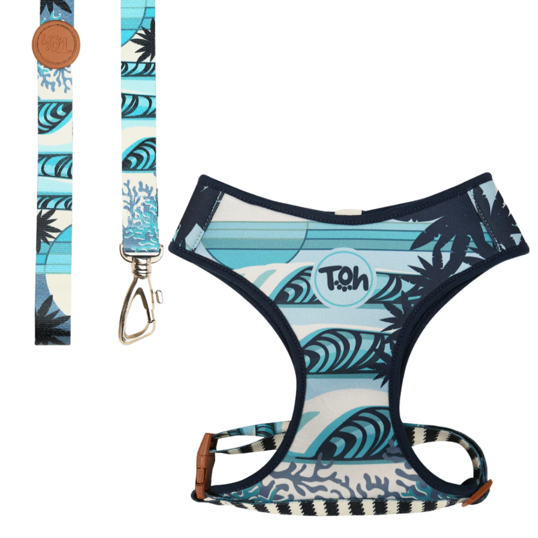 Peitoral Neocomfy e Guia Noronha P