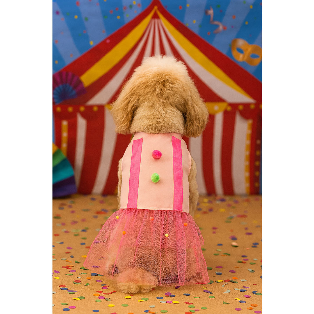 Vestido Carnaval com Tule