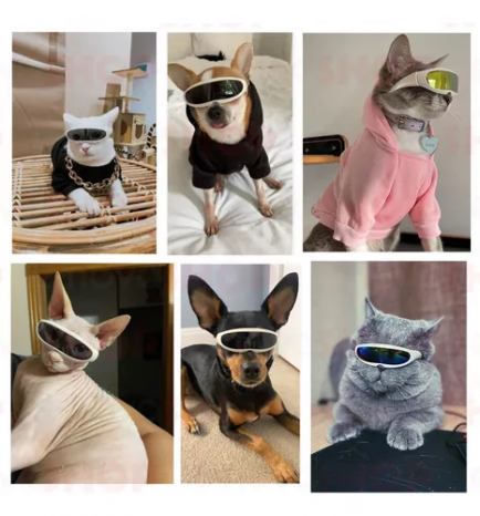 Óculos De Sol Cães Pequeno Porte e Gatos