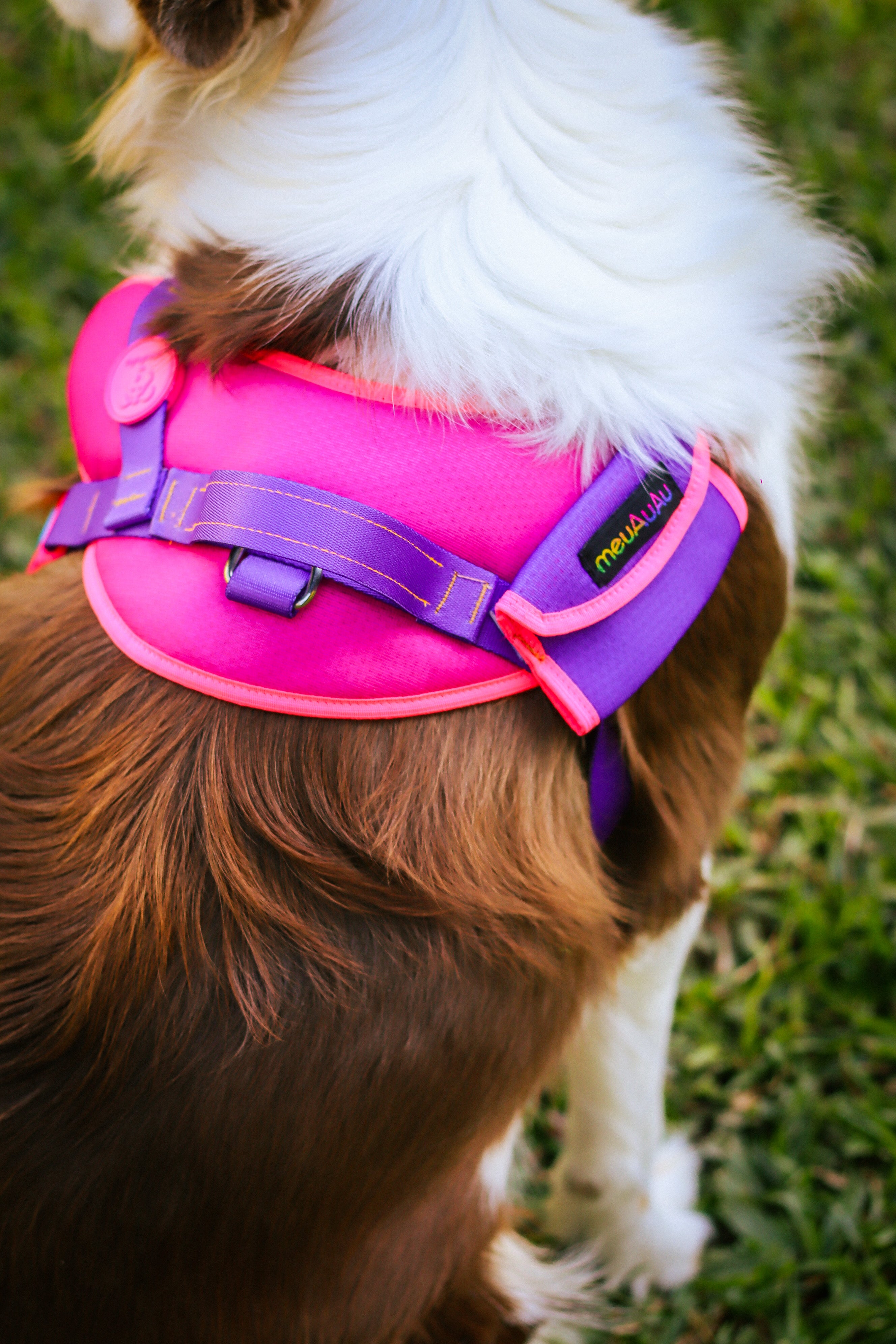 PEITORAL NEW SAFE - PINK