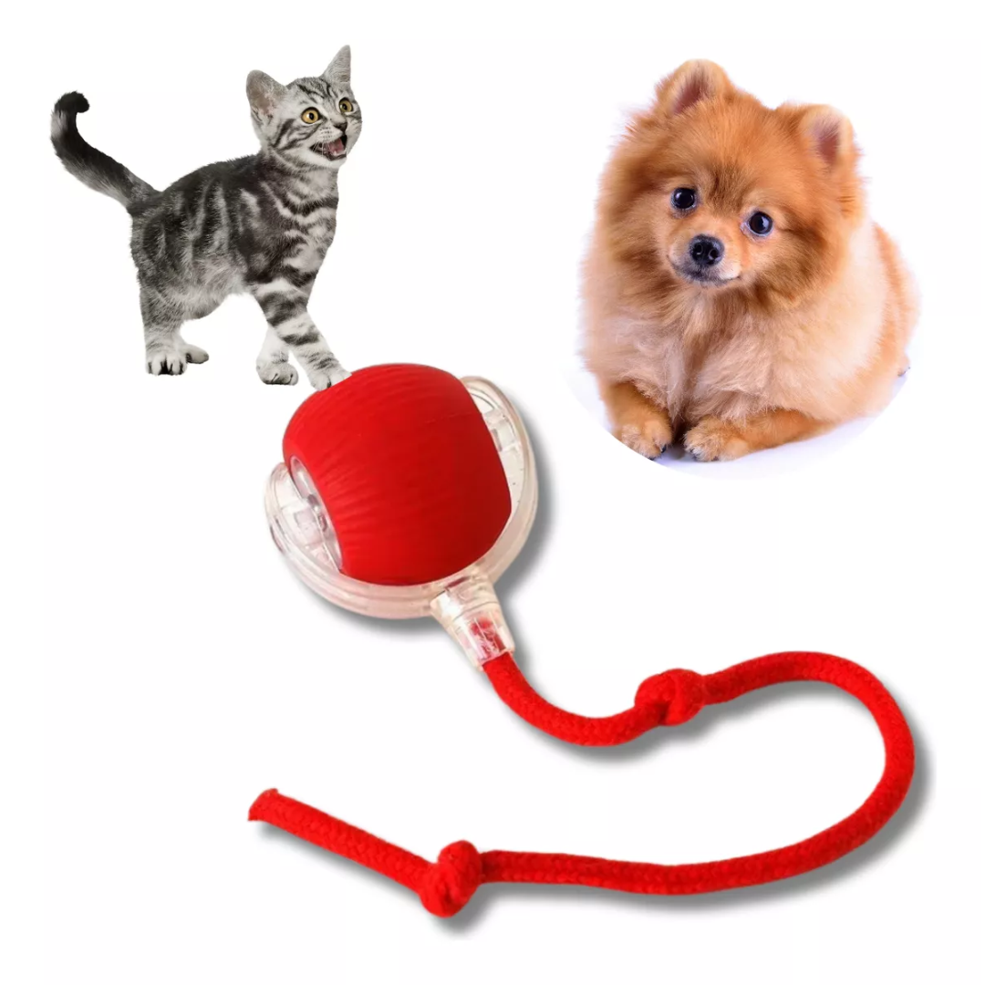 Bola Interativa Giratória