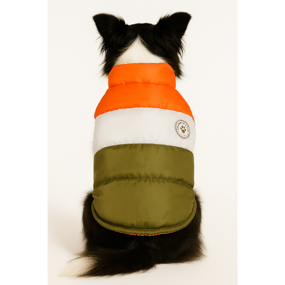 Colete Puffer Porte Médio