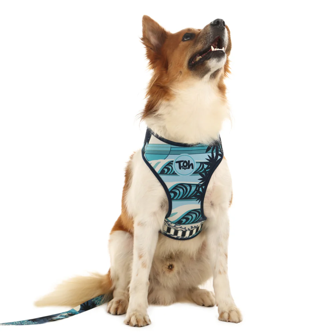 Peitoral Neocomfy e Guia Noronha M