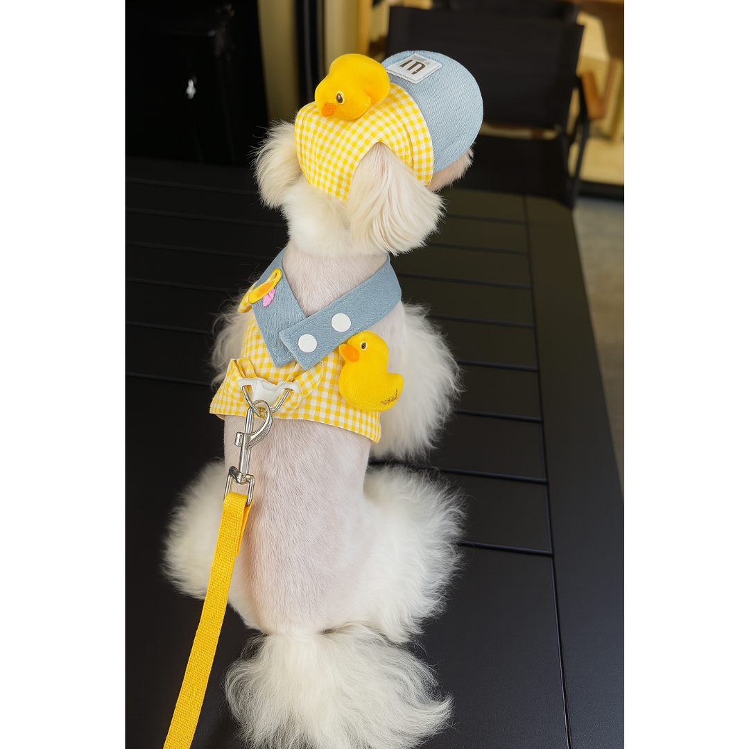 Peitoral com Guia e Bone