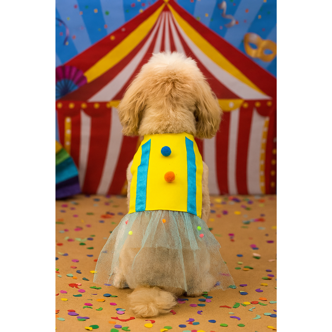 Vestido Carnaval com Tule