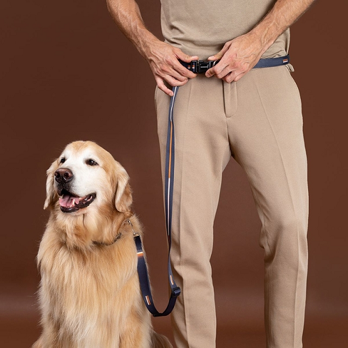 Guia Running Bob Marley