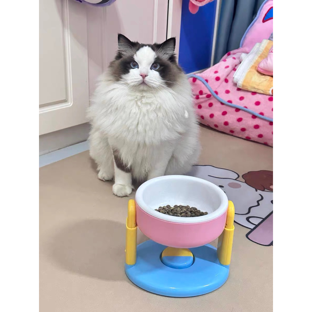 Comedouro Elevado Ajustável Colorido