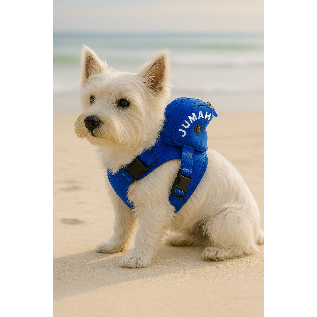 Peitoral com Mochila Tubarão