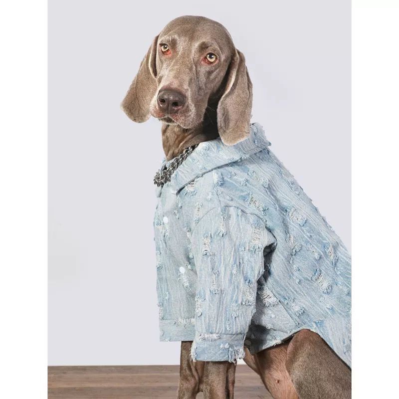 Camisa Jeans Rasgada