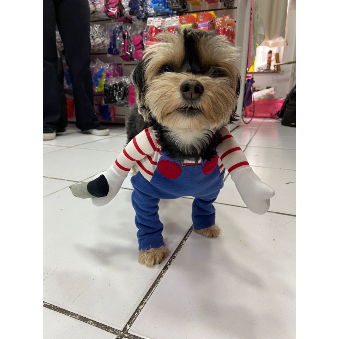 Fantasia Chuck Com Peruca