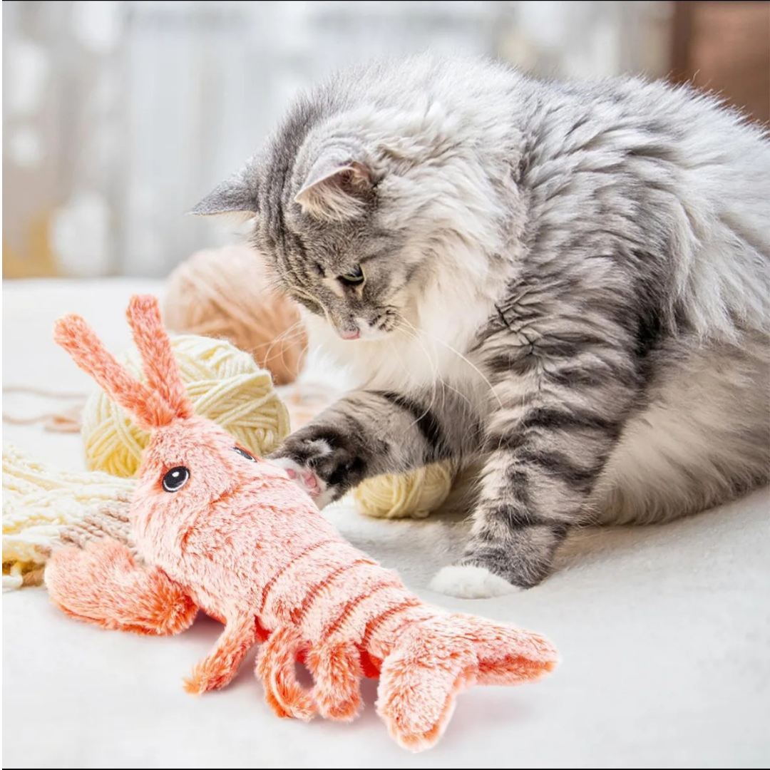 Lagosta Elétrica Que Mexe