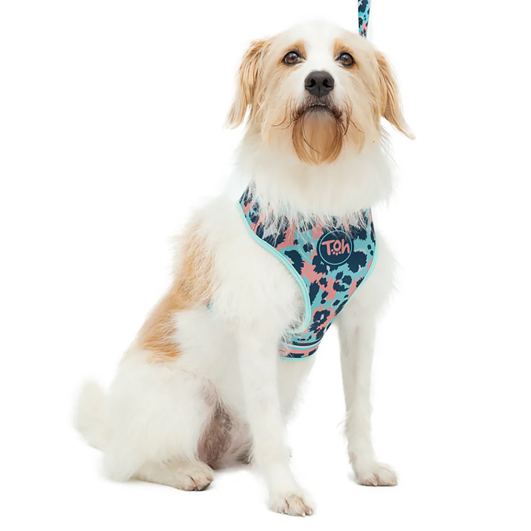 Peitoral Neocomfy e Guia Savana M