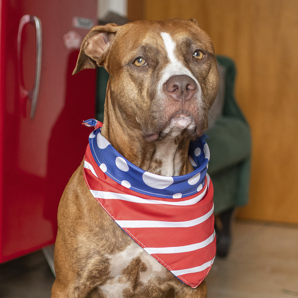 Bandana Dupla Face Geometrica