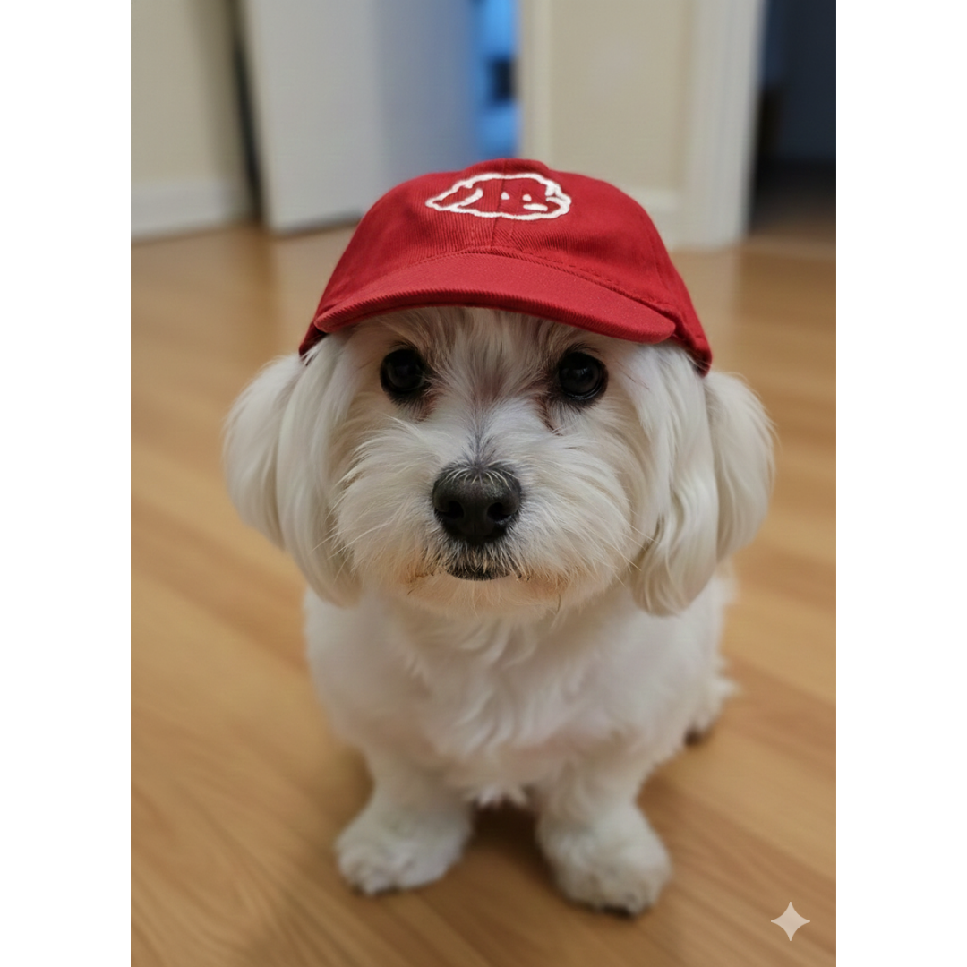 Boné Cachorrinho Com Elastico