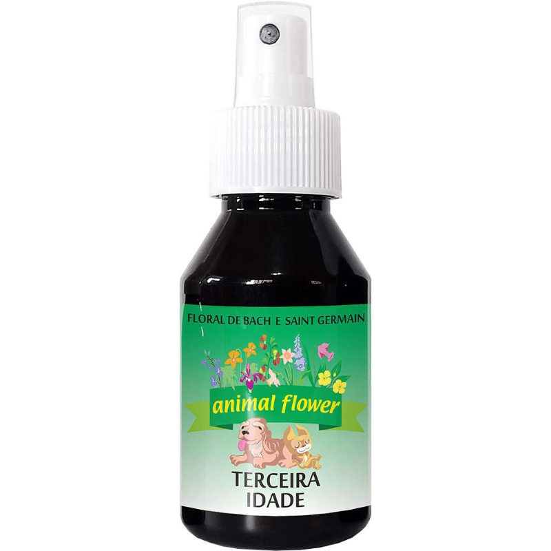 Floral Spray