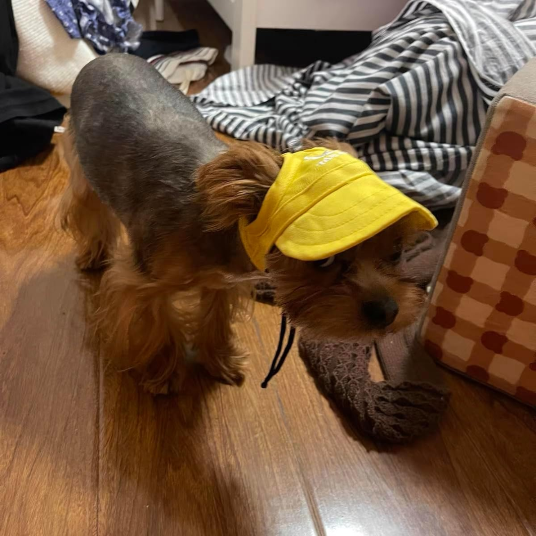 Chapeu Tecido Amarelo