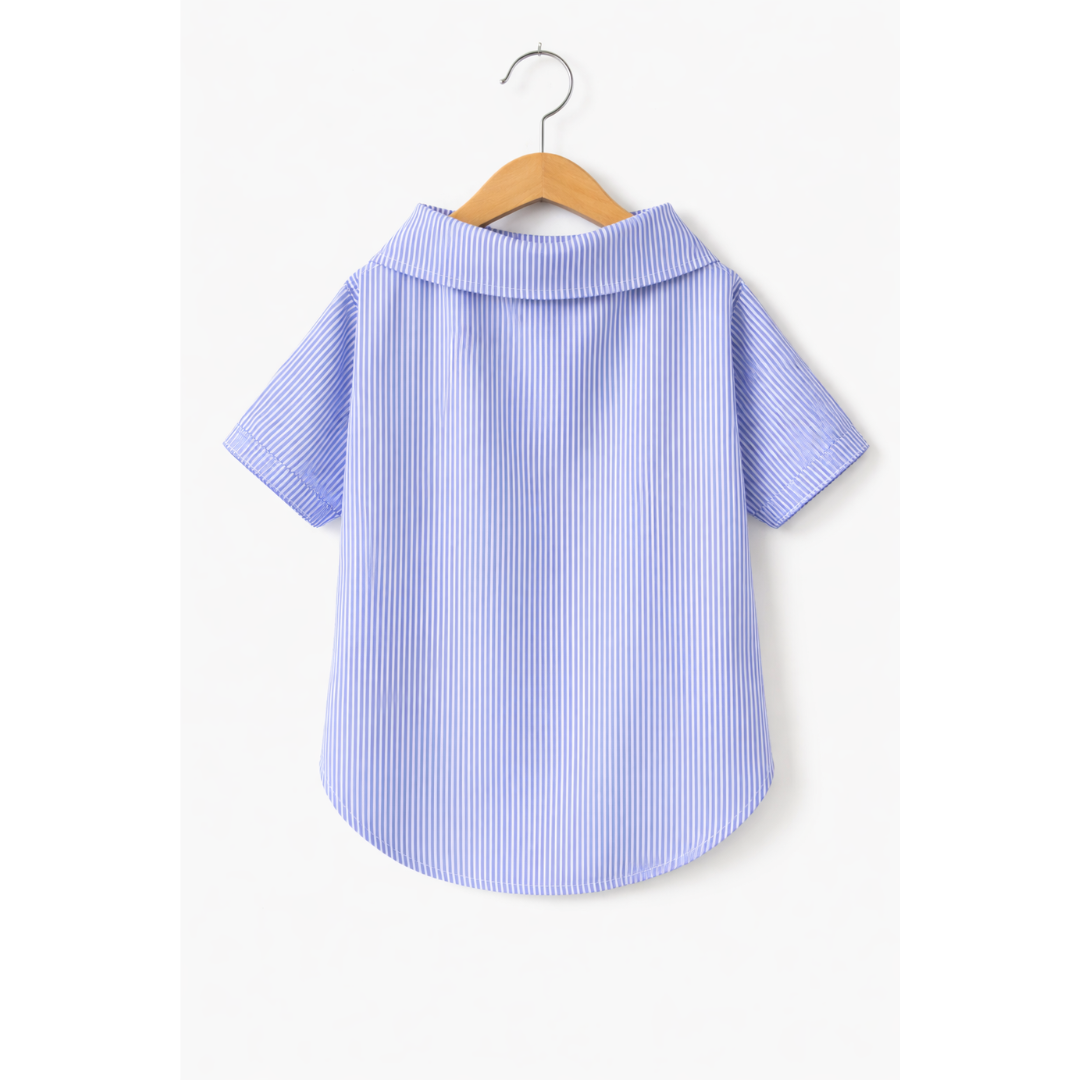 Camisa Azul Listrada
