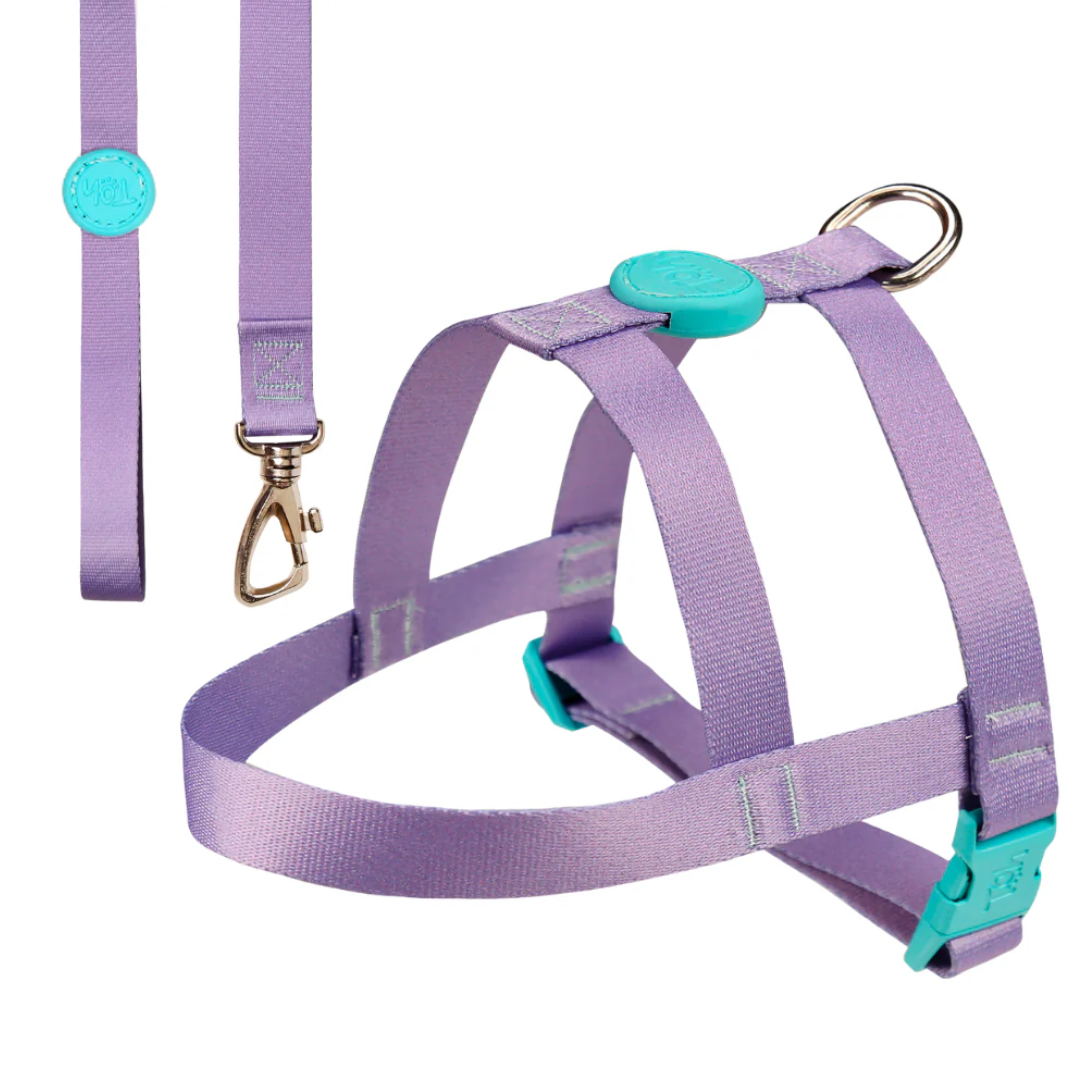 Peitoral Tradicional e Guia Lilas PP