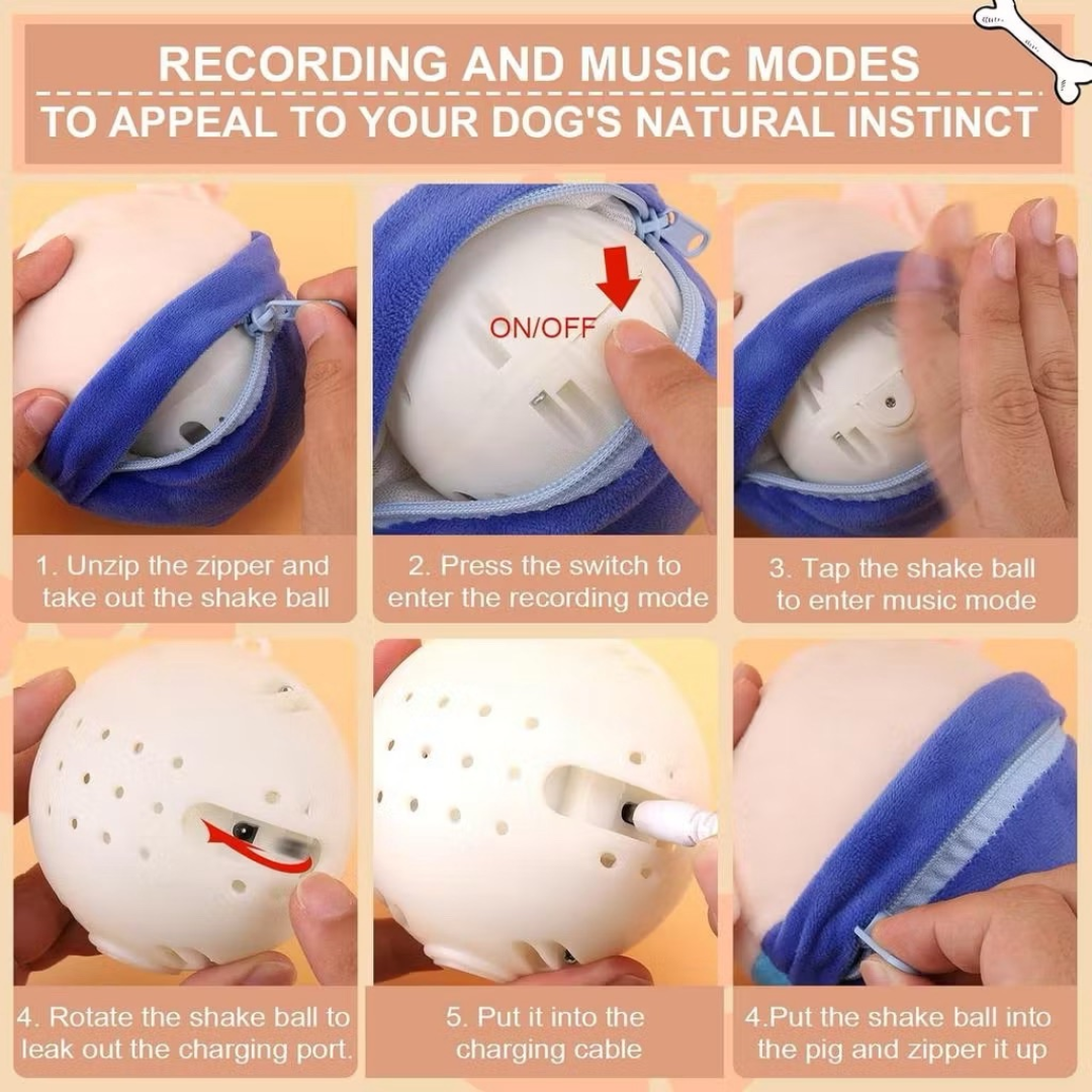 Porquinho Interativo