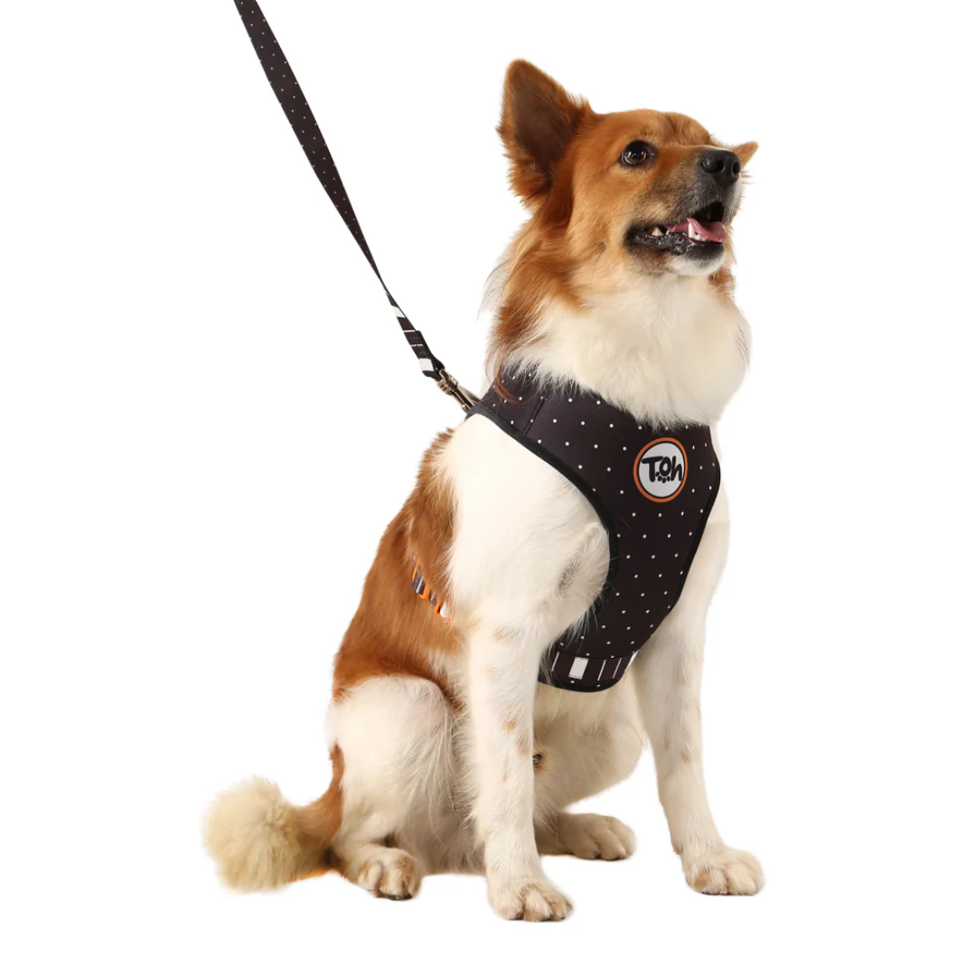 Peitoral Neocomfy e Guia Eclipse P