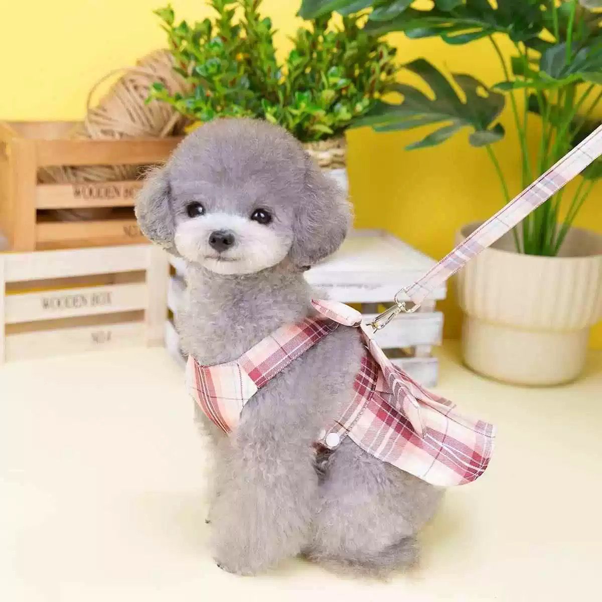 Peitoral Xadrez Lacinho Vermelha