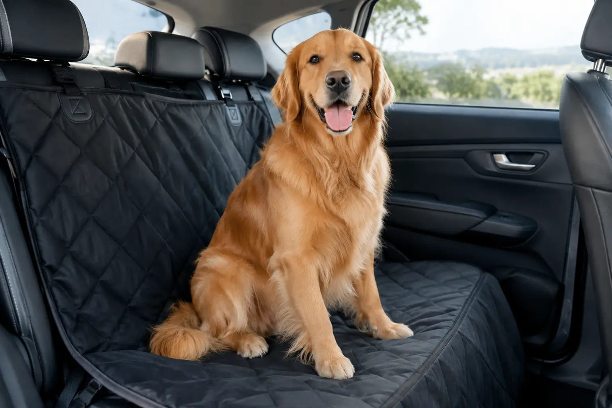 Melhores capas para banco traseiro para seu pet