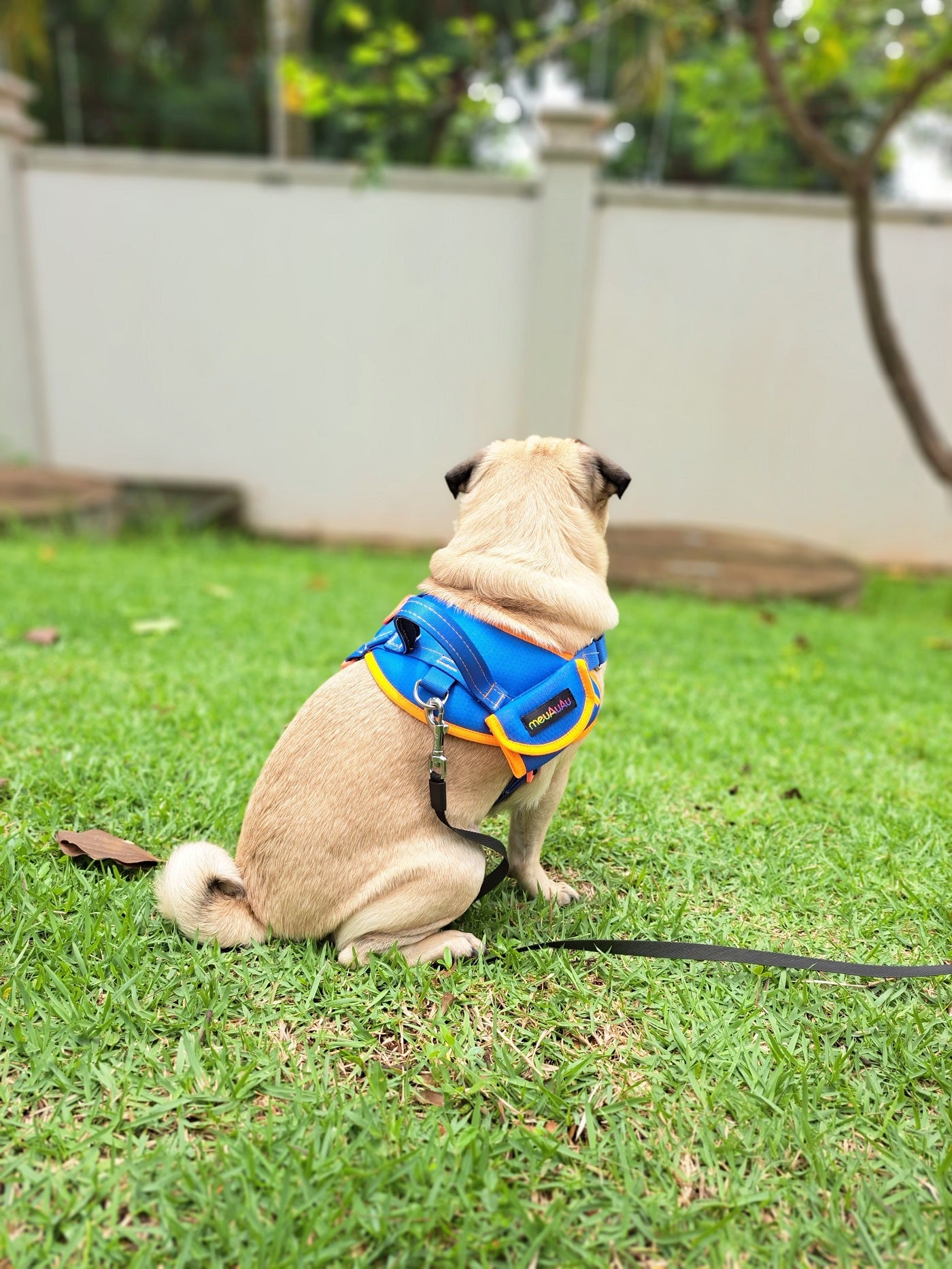 PEITORAL NEW SAFE - BLUE