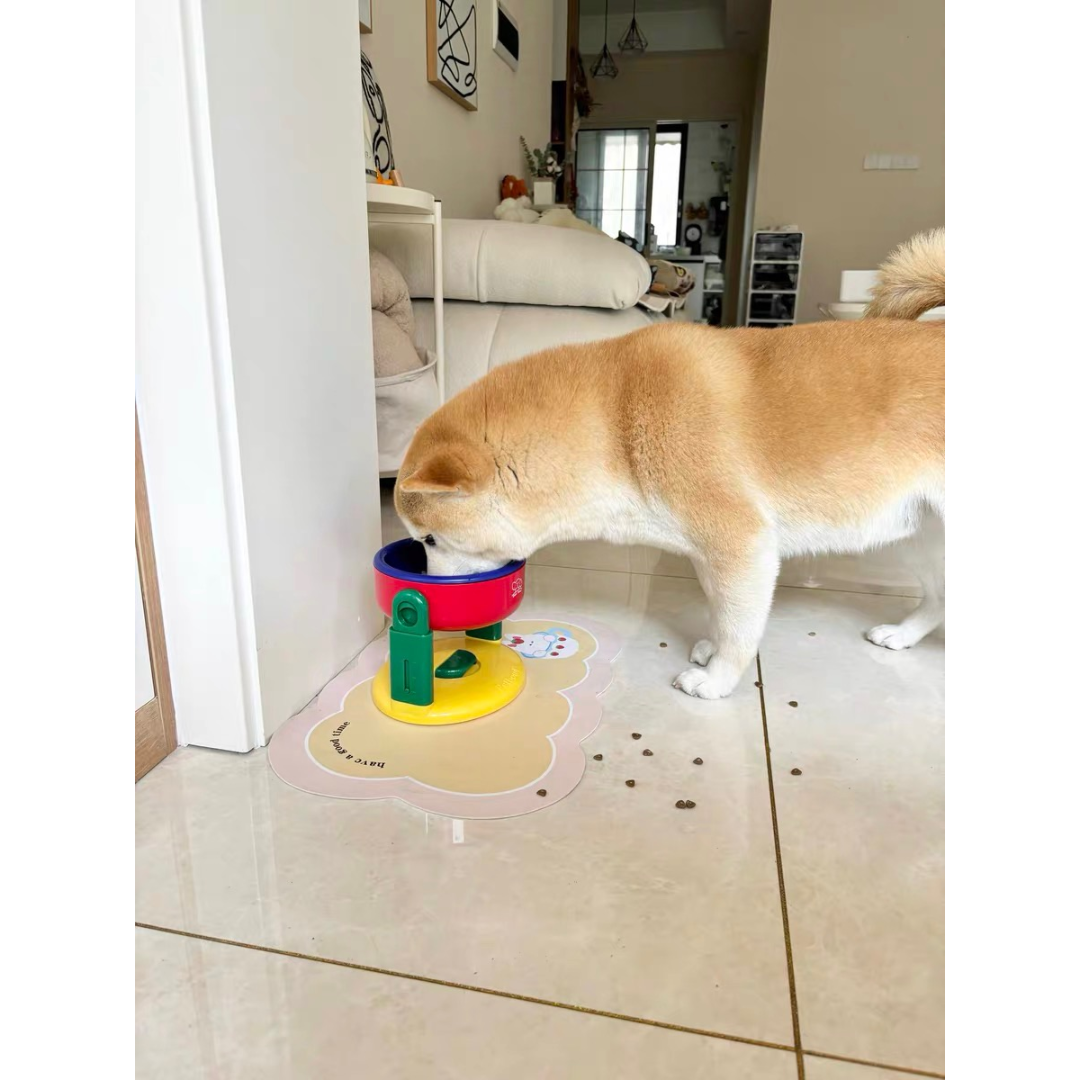 Comedouro Elevado Ajustável Colorido