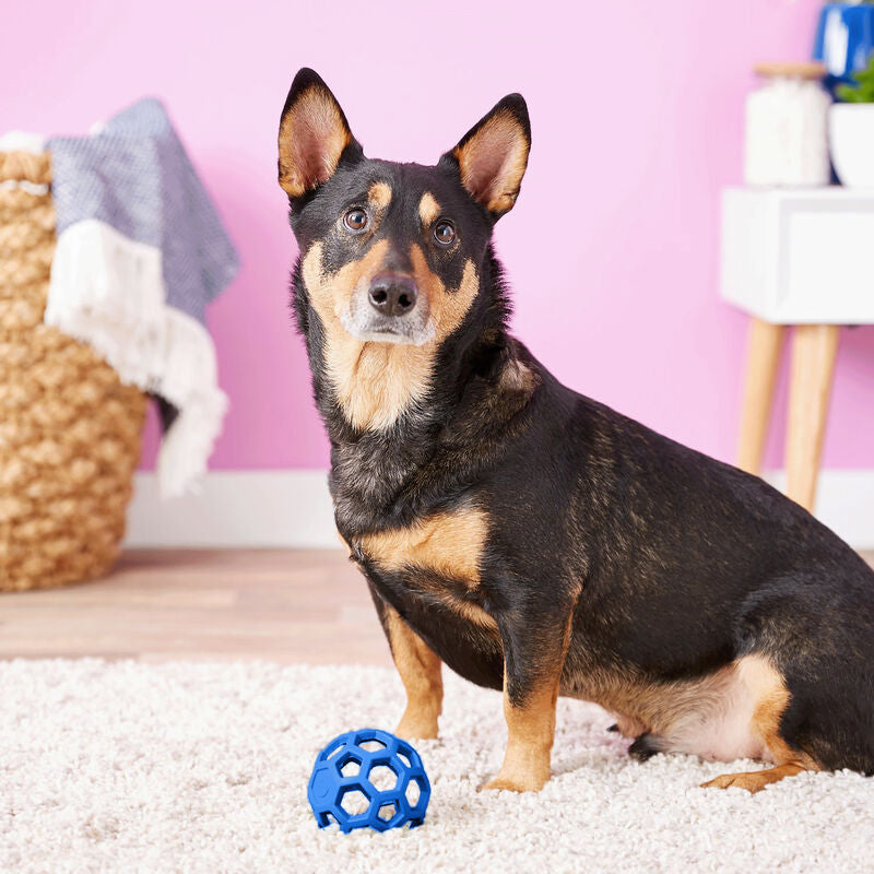 BOLA HOLEE ROLLER SM JW AZUL