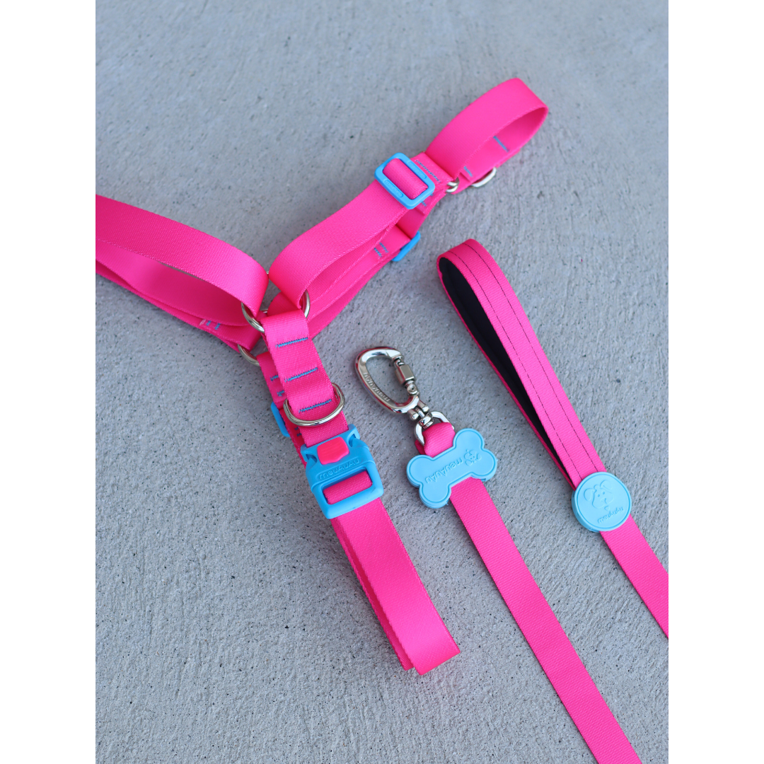 KIT ANTIPUXAO - NEW PINK - G