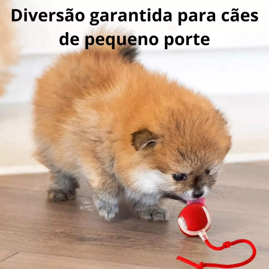 Bola Interativa Giratória