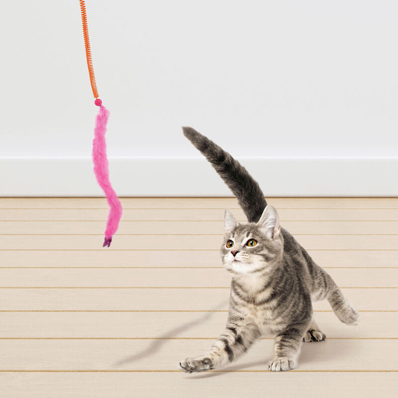 BRINQUEDO FEATHERLITE SPRINGY