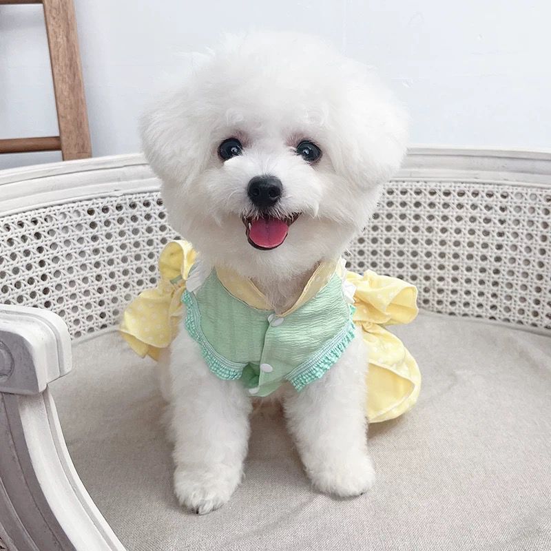 Vestidos Babado Amarelo