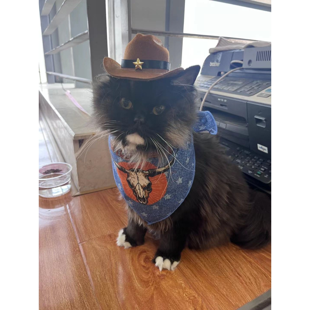 Kit Cowboy