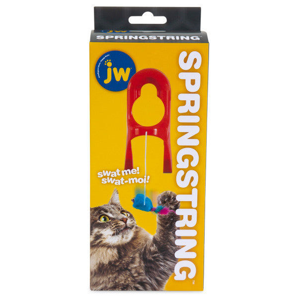 BRINQUEDO SPRINGSTRING