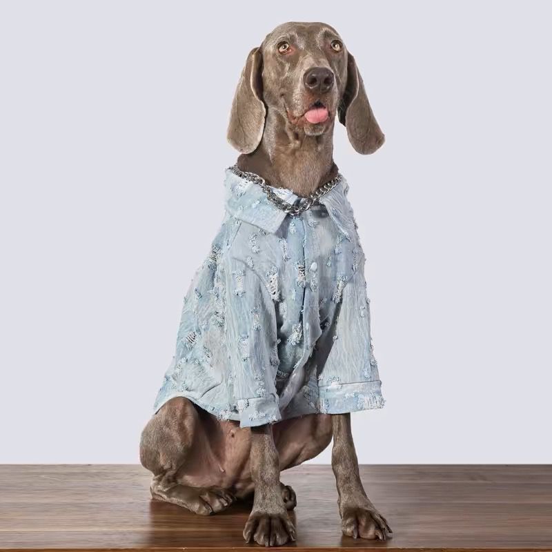 Camisa Jeans Rasgada