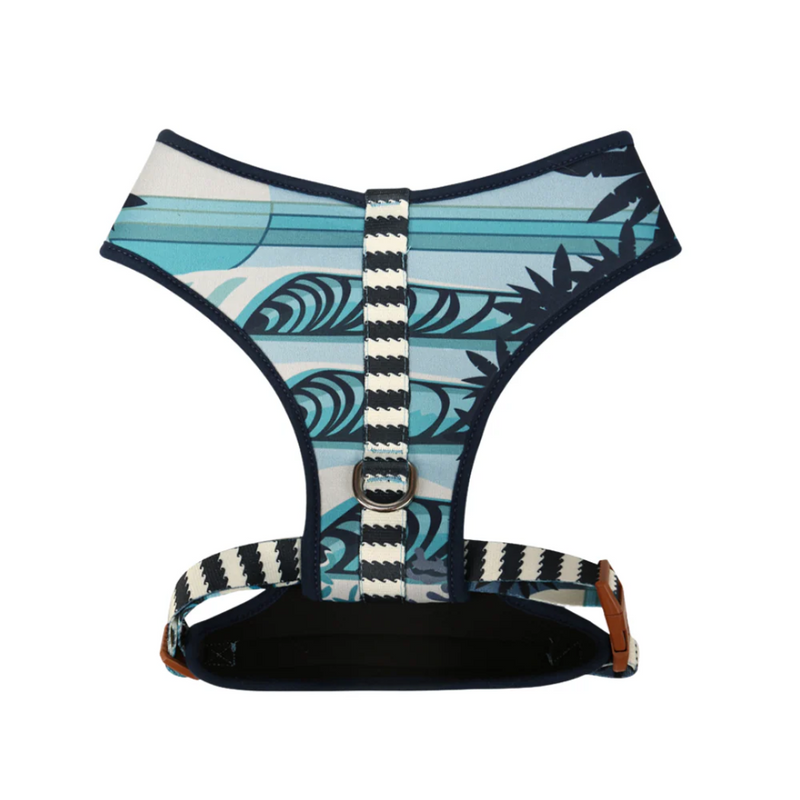 Peitoral Neocomfy e Guia Noronha M