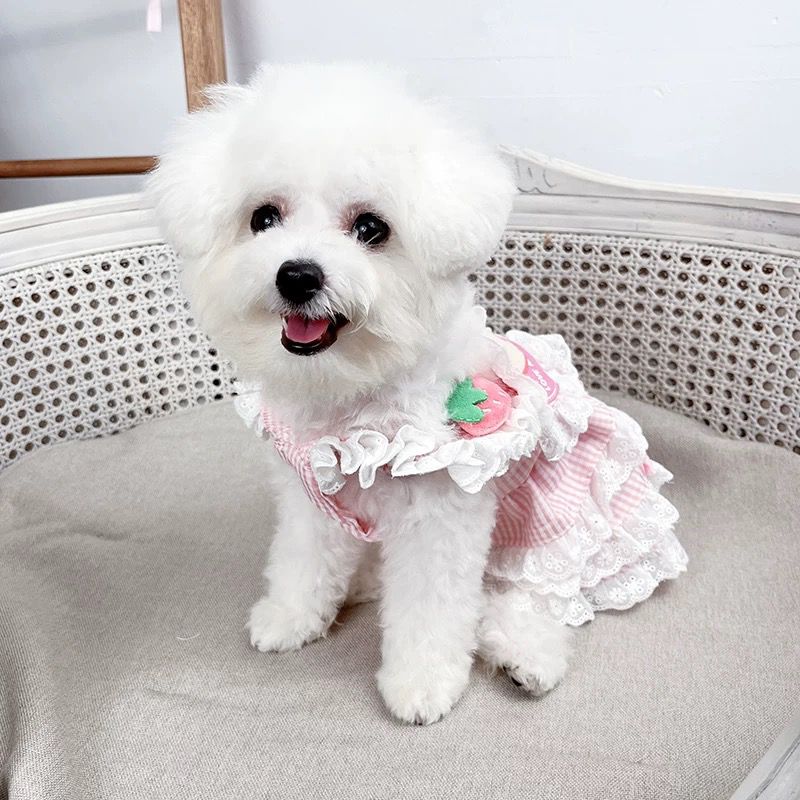 Vestidos Babado Rosa