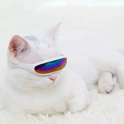 Óculos De Sol Cães Pequeno Porte e Gatos