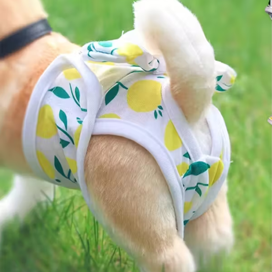 Calcinha Pet Estampada